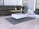 DEPOT E-SHOP Aran Lift Top Coffee Table, Storage Compartment, White / Light Oak