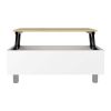 DEPOT E-SHOP Aran Lift Top Coffee Table, Storage Compartment, White / Light Oak